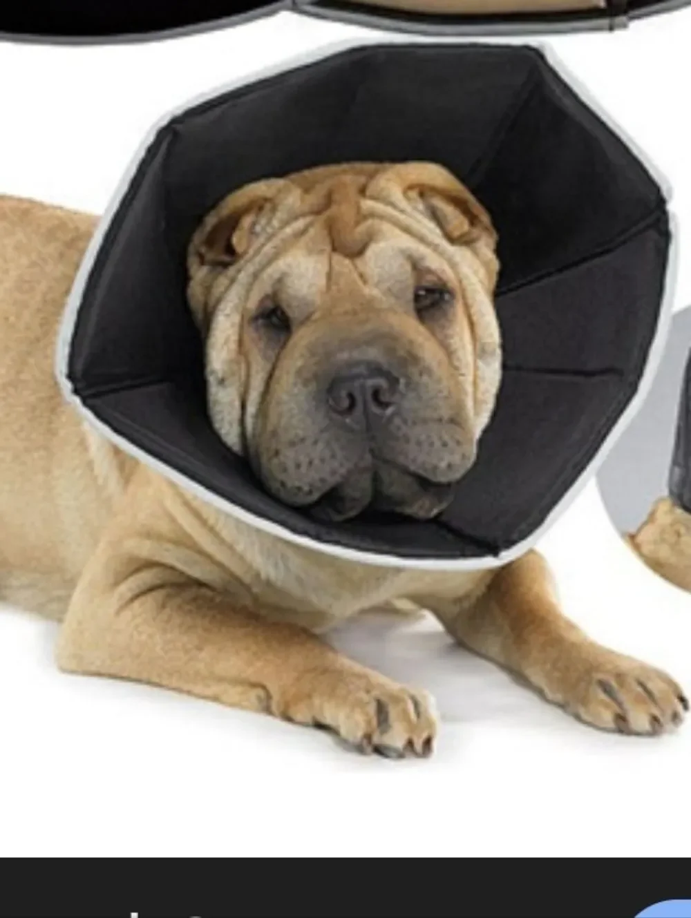 GORAPET Soft Recovery Collar - Black Large